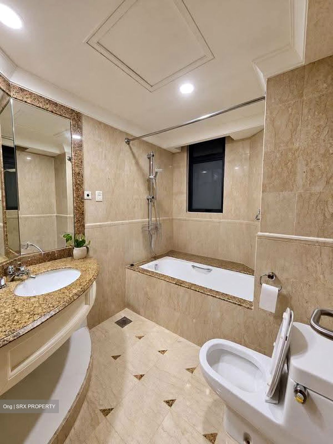 Valley Park (D10), Condominium #637393621